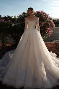 Lace Basque Waist Ball Gown Eilonwy view 6