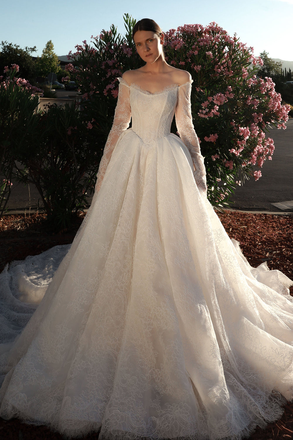 Lace Basque Waist Ball Gown Eilonwy - VOLAKK