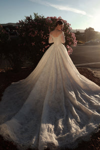 Lace Basque Waist Ball Gown Eilonwy view 3