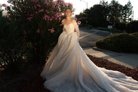Lace Basque Waist Ball Gown Eilonwy view 10