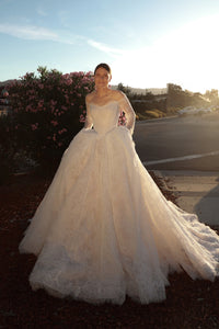 Lace Basque Waist Ball Gown Eilonwy view 11