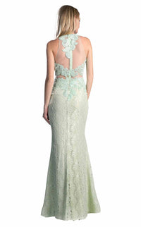 Cinderella Divine 1586 Dress view 8