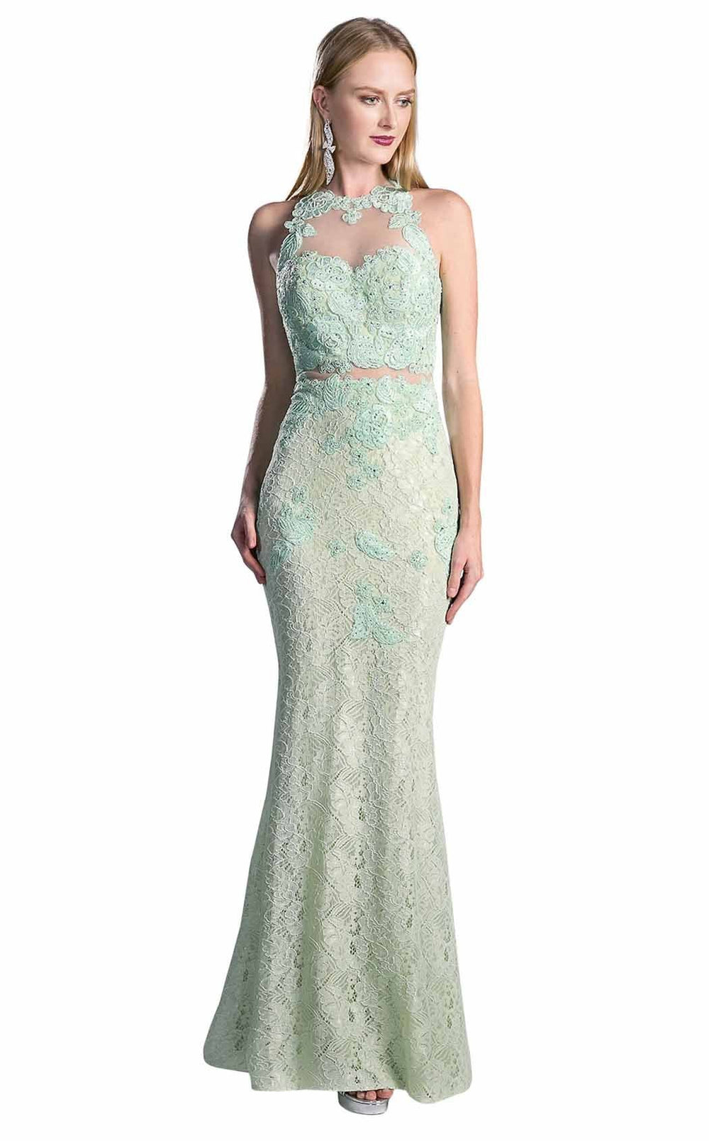 Exquisite Cinderella Divine 1586 Dress detail view - VOLAKK