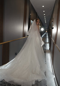 Two-Tier Sparkle Veil Over Ice view 2
