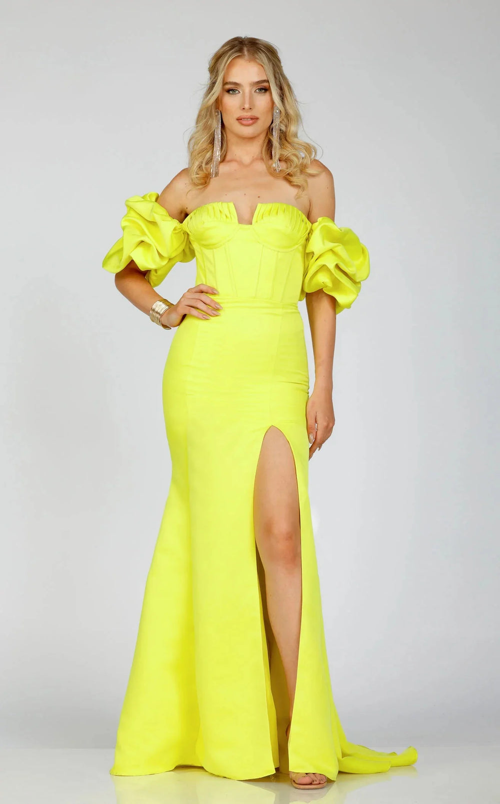 Terani 231P0181 Dress - VOLAKK
