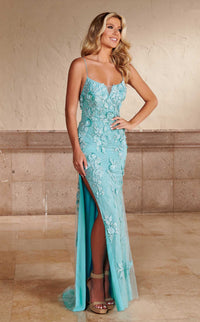 Rachel Allan 70450 Dress view 3