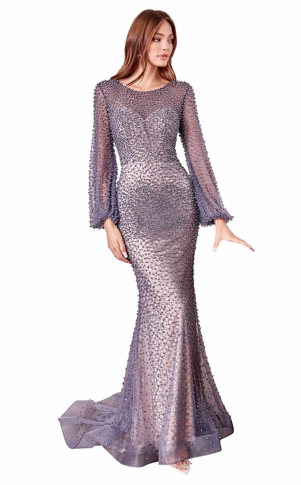 Exquisite Andrea and Leo A0997 Dress detail view - VOLAKK