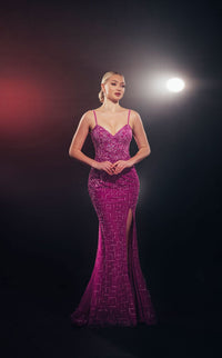 Chic and Holland AF330141 Dress view 1