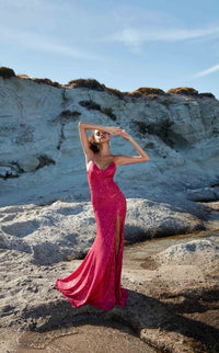 Aerie Couture 207 Dress view 4
