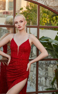 Aerie Couture 218 Dress view 3