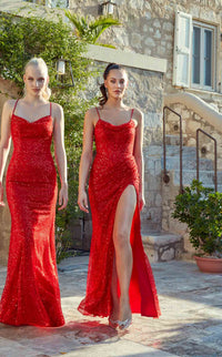 Aerie Couture 221 Dress view 4
