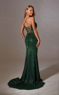 Aerie Couture 235 Dress view 3