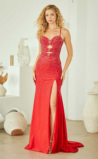 Amelia Couture 3103 Dress view 19