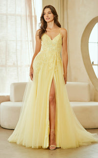 Amelia Couture 9079 Dress view 19