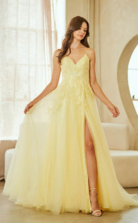 Amelia Couture 9079 Dress view 20
