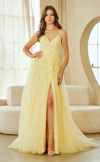 Amelia Couture 9079 Dress view 21