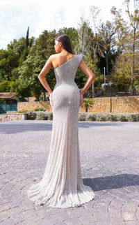 Chic and Holland HF110414 Dress view 2