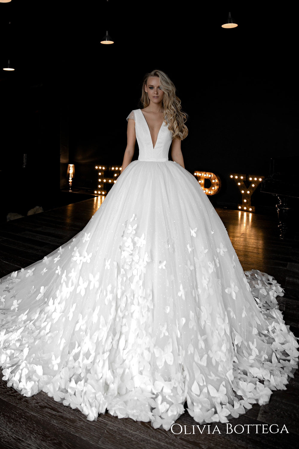 Butterfly Appliqued Wedding Dress Baily details - VOLAKK