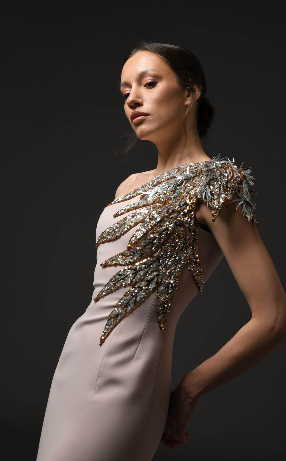 Exquisite Jean Louis Sabaji 600121 Dress detail view - VOLAKK