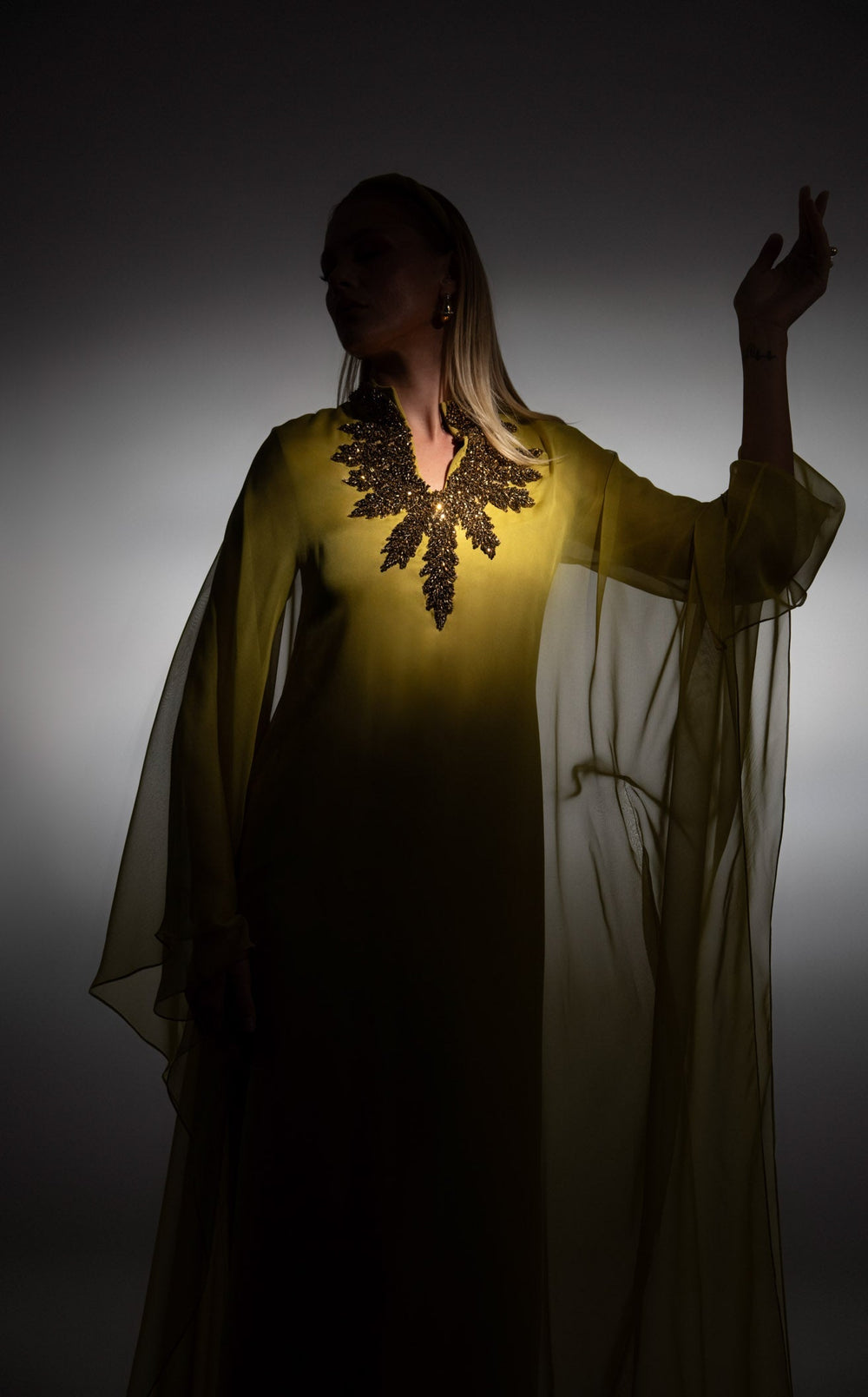 Exquisite Jean Louis Sabaji 600134 Dress detail view - VOLAKK