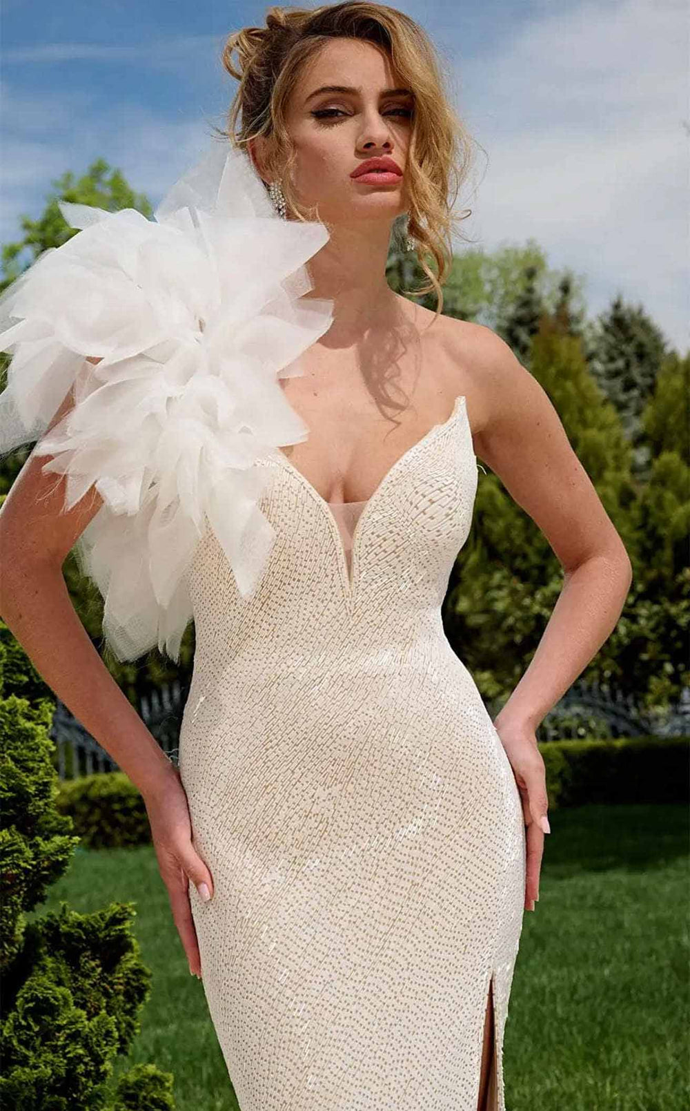 Exquisite Jovani 39617 Dress detail view - VOLAKK