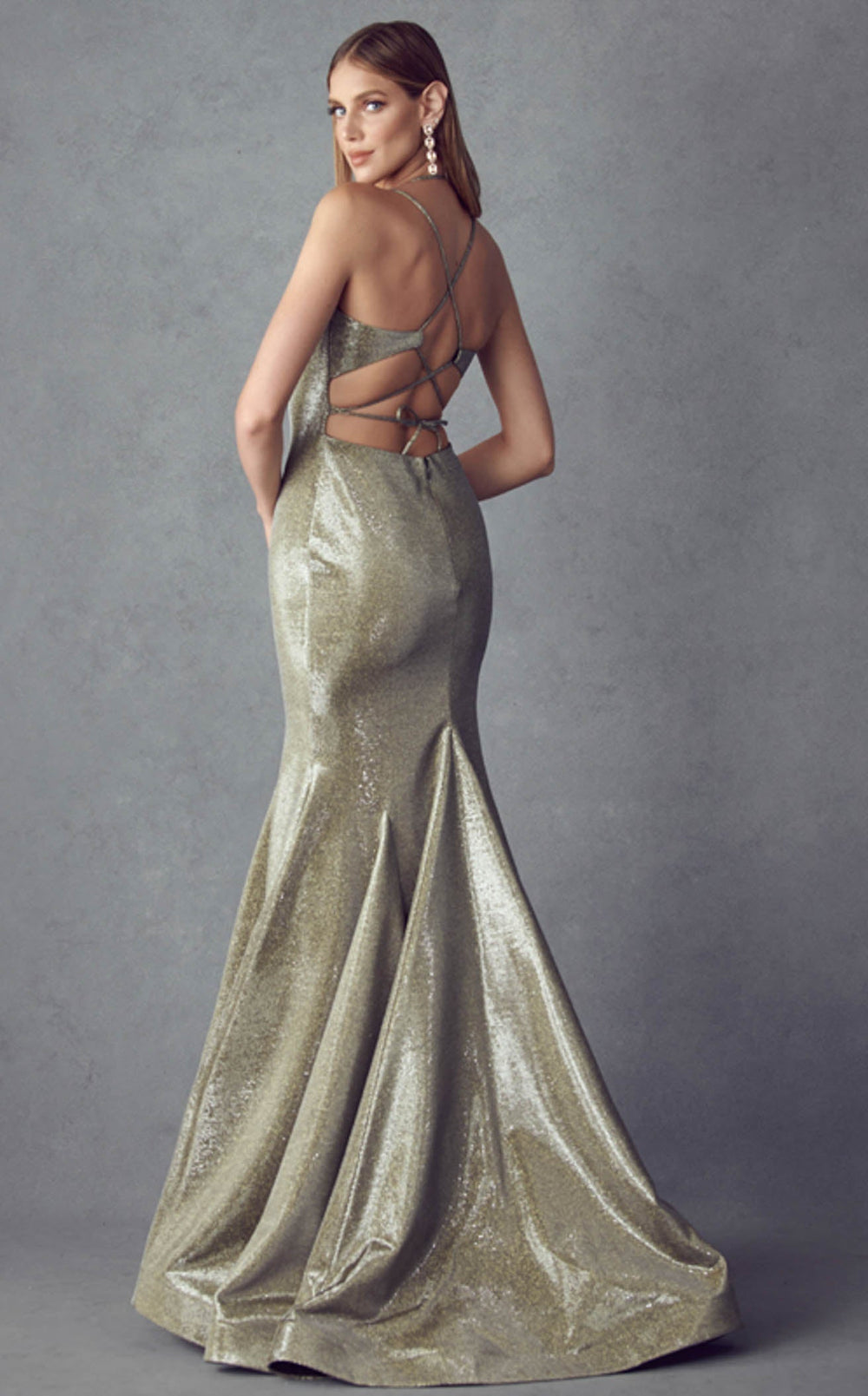 Exquisite Juliet 242 Dress detail view - VOLAKK