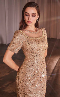 Ladivine CB151 Dress view 4