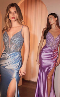 Ladivine CC0238 Dress view 6