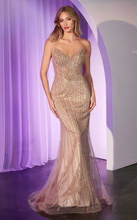 Ladivine CC416 Dress view 8