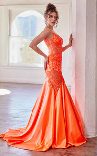 LaDivine CDS470 Dress view 6