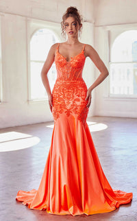 LaDivine CDS470 Dress view 4