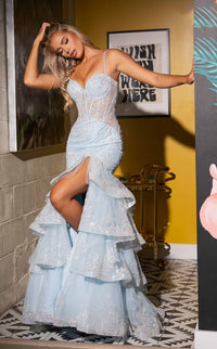 Rachel Allan 70614 Dress view 4