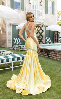 Rachel Allan 70932 Dress view 6