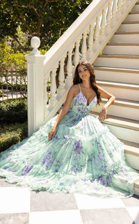 Rachel Allan 70935 Dress view 4