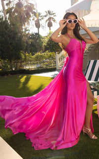 Rachel Allan 70945 Dress view 2