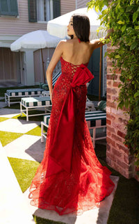 Rachel Allan 71008 Dress view 6