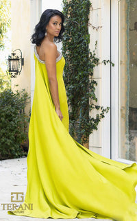 Terani 242E3133 Dress view 8
