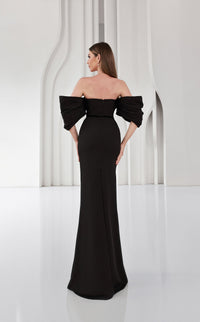 Terani 251E4204 Dress view 6