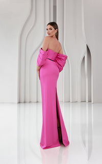 Terani 251E4204 Dress view 5