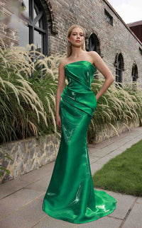 Terani 251E4231 Dress view 1
