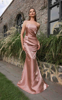 Terani 251E4231 Dress view 6