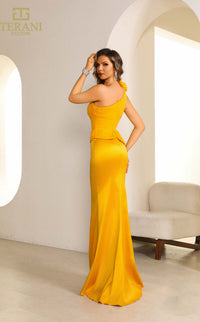 Terani 251E4578 Dress view 2