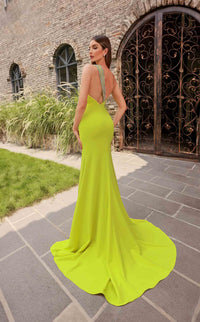 Terani 251P4036 Dress view 5