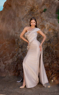 Terani 252E5116 Dress view 1
