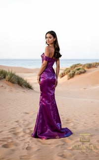 Terani 252E5162 Dress view 4