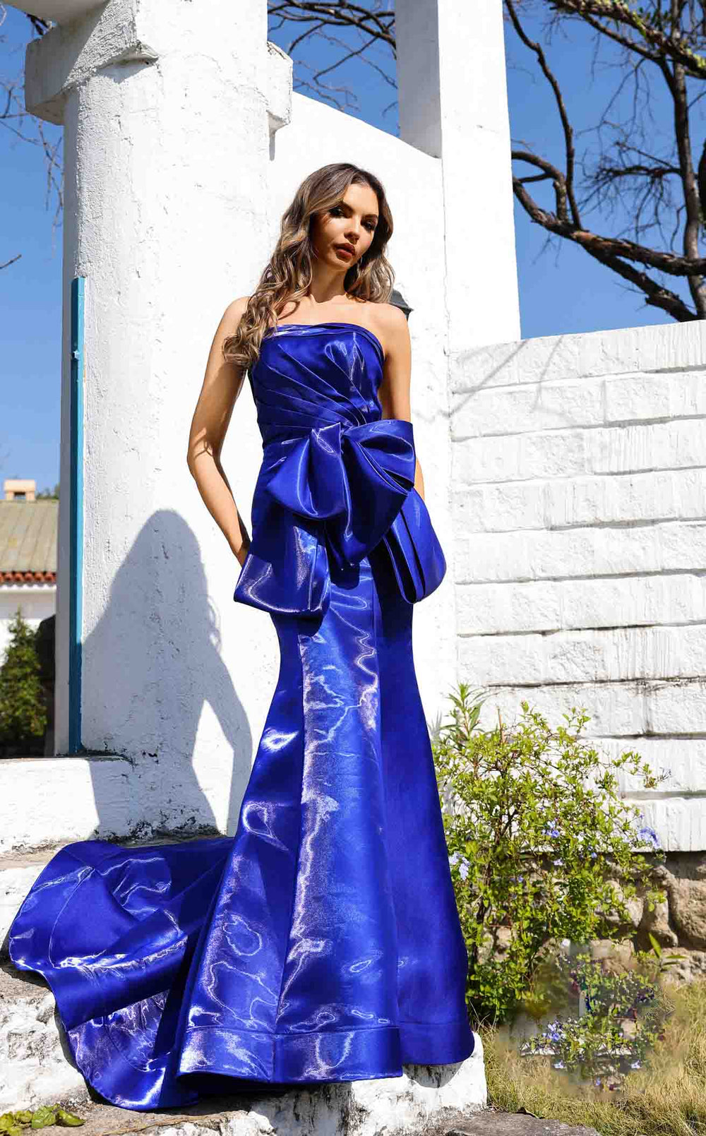 Terani 252E5164 Dress - VOLAKK