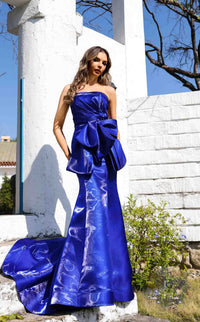 Terani 252E5164 Dress view 1
