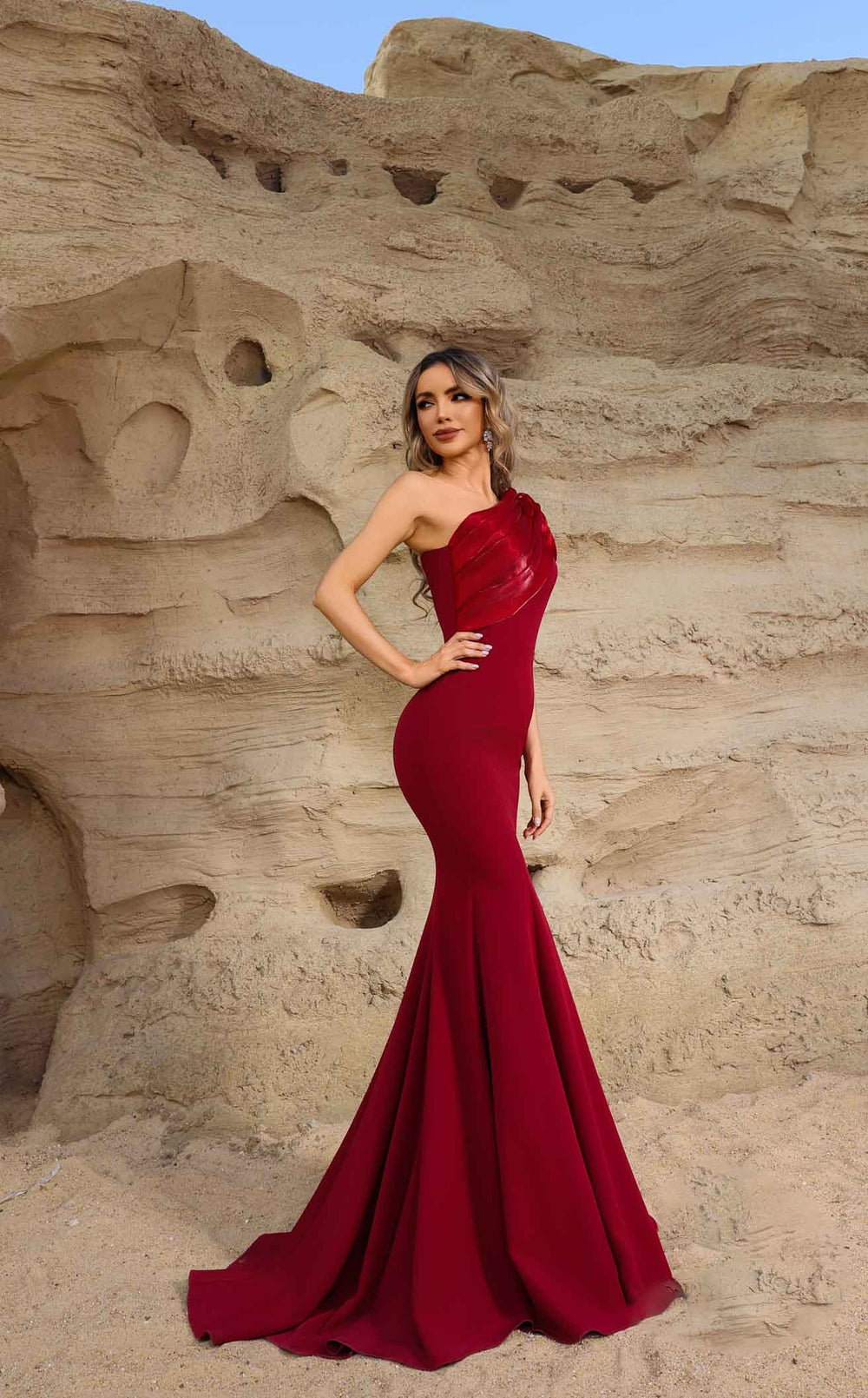 Exquisite Terani 252E5514 Dress detail view - VOLAKK