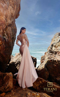 Terani 252M5344 Dress view 7