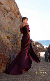 Terani 252M5324 Dress view 6